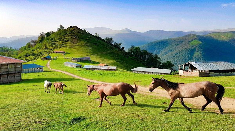 asb masal