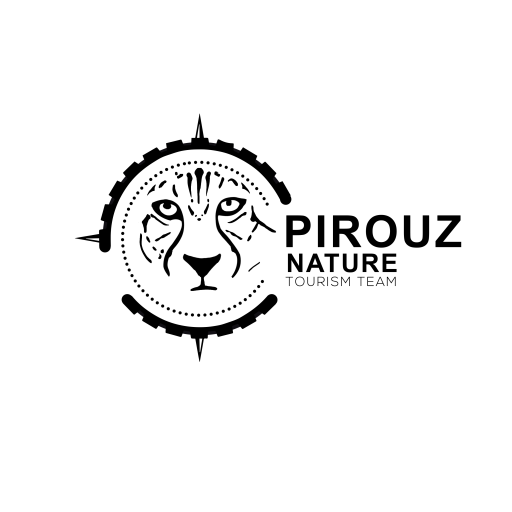 پیش بارگیر